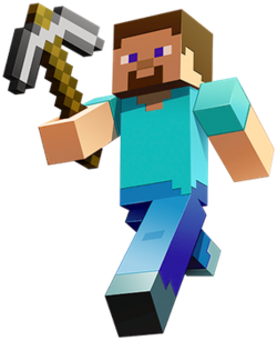 Steve